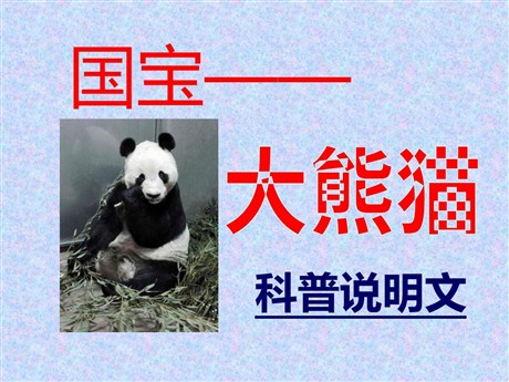 《国宝—大熊猫》PPT课件
