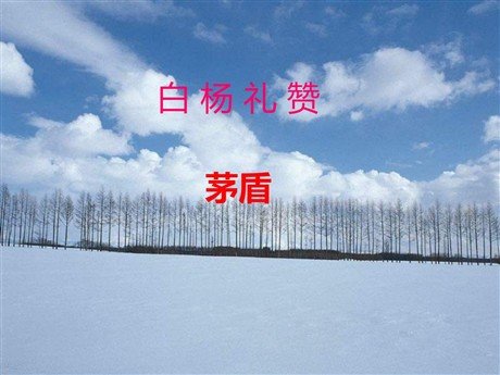 《白杨礼赞》PPT课件5
