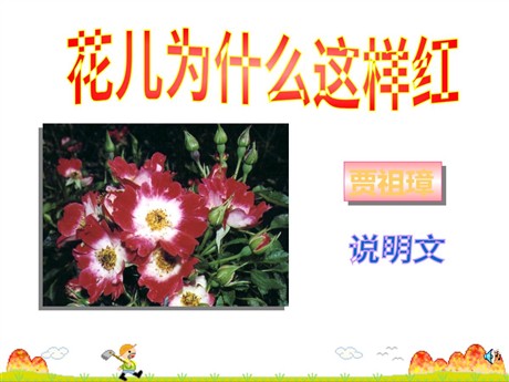 《花儿为什么这样红》PPT课件3