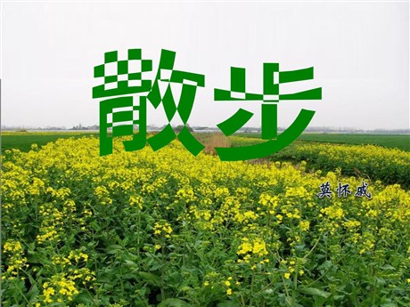 《散步》PPT课件3