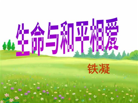 《生命与和平相爱》PPT课件
