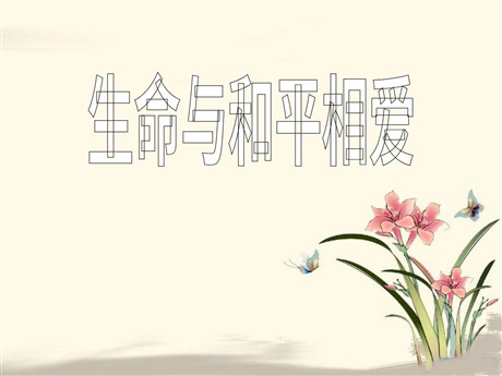 《生命与和平相爱》PPT课件3