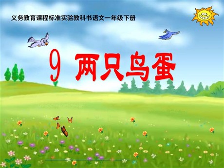 《两只鸟蛋》PPT课件6