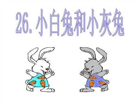 《小白兔和小灰兔》PPT课件4