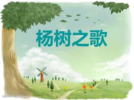 《杨树之歌》PPT课件2