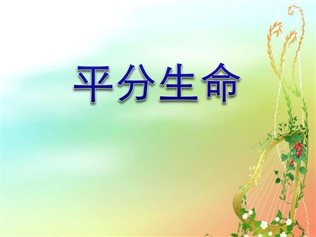 《平分生命》PPT课件3