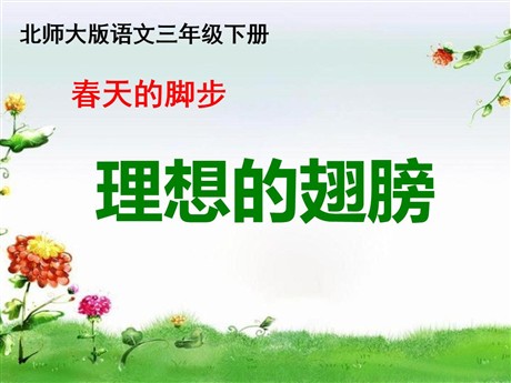《理想的翅膀》PPT课件4