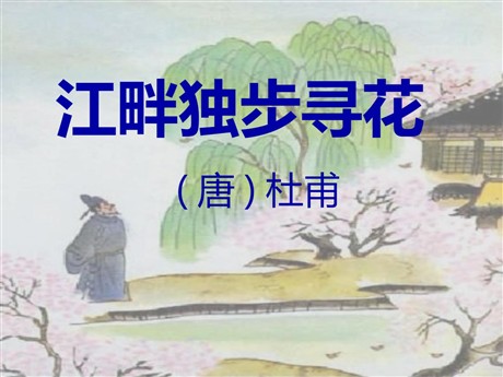 《江畔独步寻花》PPT课件3