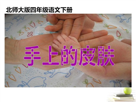 《手上的皮肤》PPT课件4