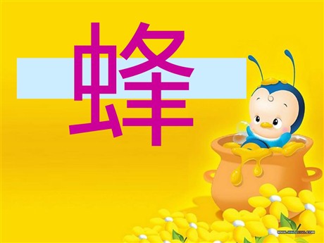《蜂》PPT课件3