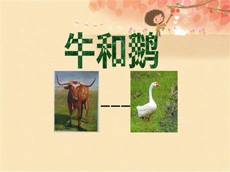 《牛和鹅》PPT课件3