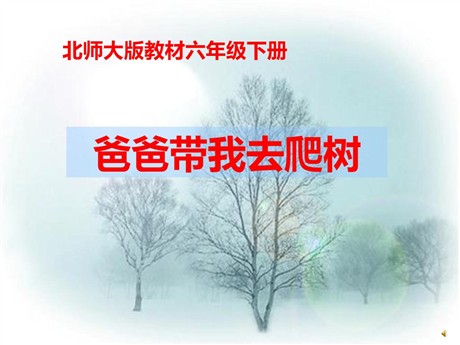 《爸爸带我去爬树》PPT课件3