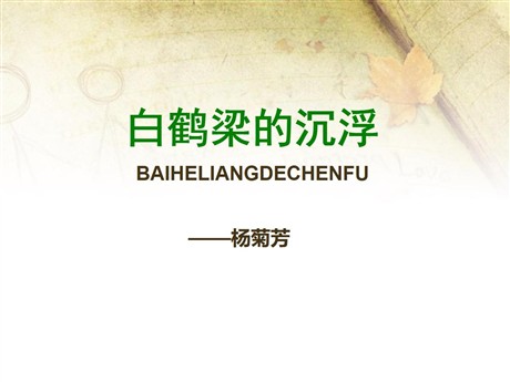 《白鹤梁的沉浮》PPT课件3
