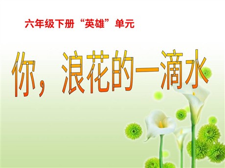 《你，浪花的一滴水》PPT课件4