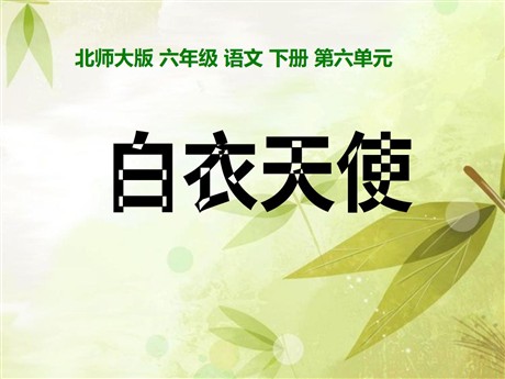 《白衣天使》PPT课件3