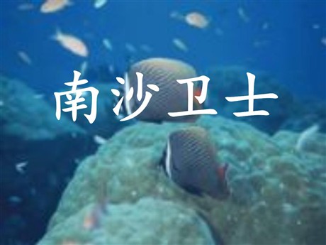 《南沙卫士》PPT课件2