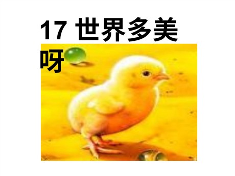 《世界多美呀》PPT课件4
