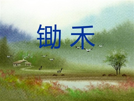 《锄禾》PPT课件3