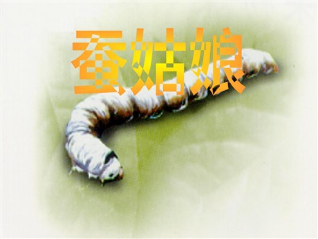 《蚕姑娘》PPT课件3