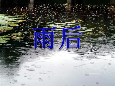 《雨后》PPT课件8