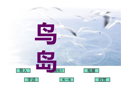 《鸟岛》PPT课件5