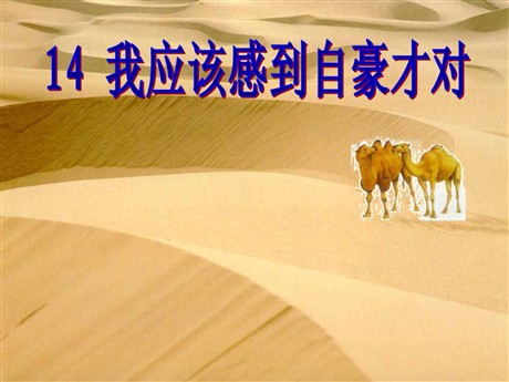 《我应该感到自豪才对》PPT课件3