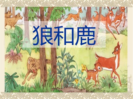 《狼和鹿》PPT课件5