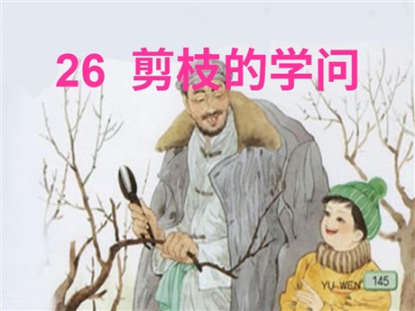 《剪枝的学问》PPT课件5