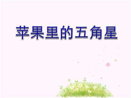 《苹果里的五角星》PPT课件4