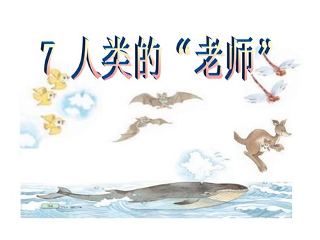 《人类的老师》PPT课件7