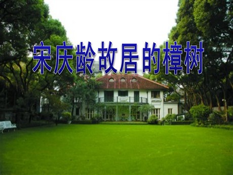 《宋庆龄故居的樟树》PPT课件4