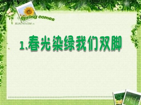 《春光染绿我们双脚》PPT课件4