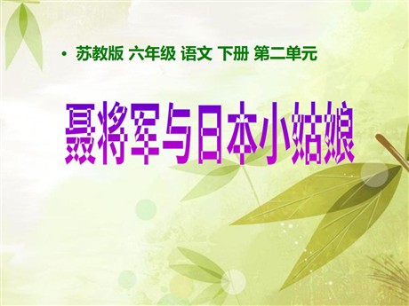 《聂将军与日本小姑娘》PPT课件4