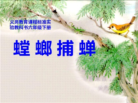 《螳螂捕蝉》PPT课件5