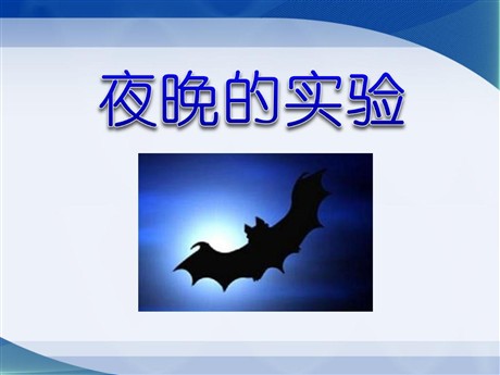 《夜晚的实验》PPT课件4