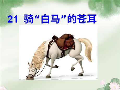《骑“白马”的苍耳》PPT课件2
