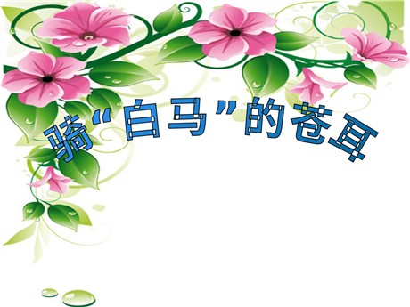 《骑“白马”的苍耳》PPT课件3