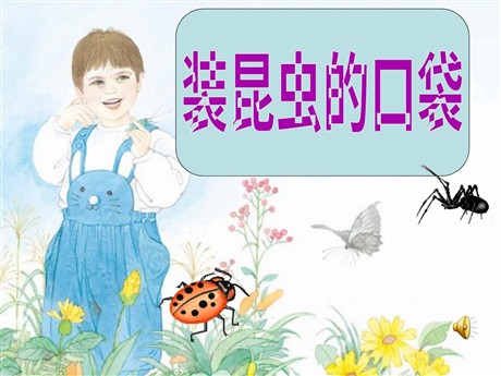 《装昆虫的口袋》PPT课件2