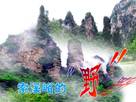 《索溪峪的“野”》PPT课件下载4