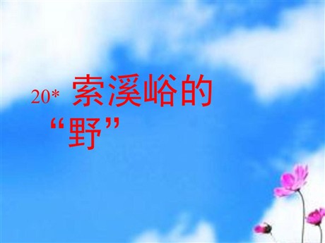 《索溪峪的“野”》PPT课件下载6