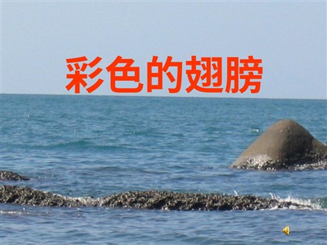 《彩色的翅膀》PPT课件下载4