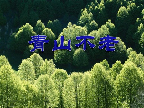 《青山不老》PPT课件下载5