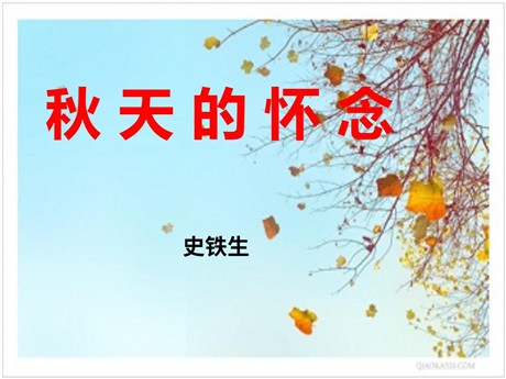 《秋天的怀念》PPT课件2