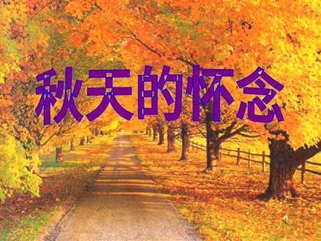 《秋天的怀念》PPT课件4