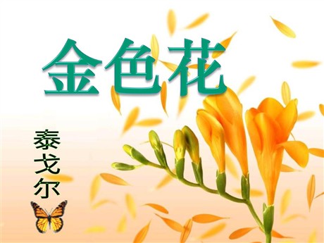 《诗两首-金色花》PPT课件5