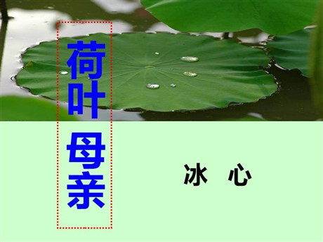 《荷叶母亲》PPT课件3