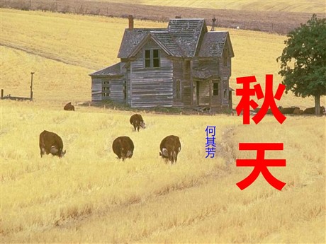 《秋天》PPT课件3
