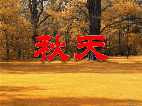 《秋天》PPT课件4