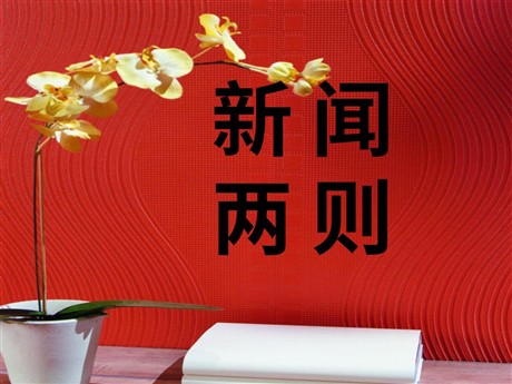 《新闻两则》PPT课件4