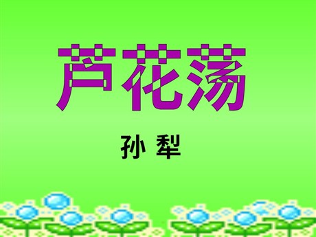 《芦花荡》PPT课件5